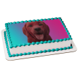 Clifford the Big Red Dog with a Tie Dye Background Edible Cake Topper Image ABPID54904 Discount