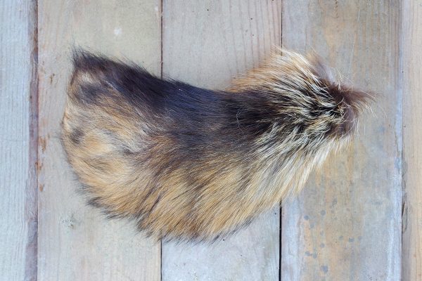 Animal Tails For Cheap