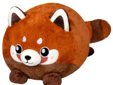 Baby Red Panda Online now