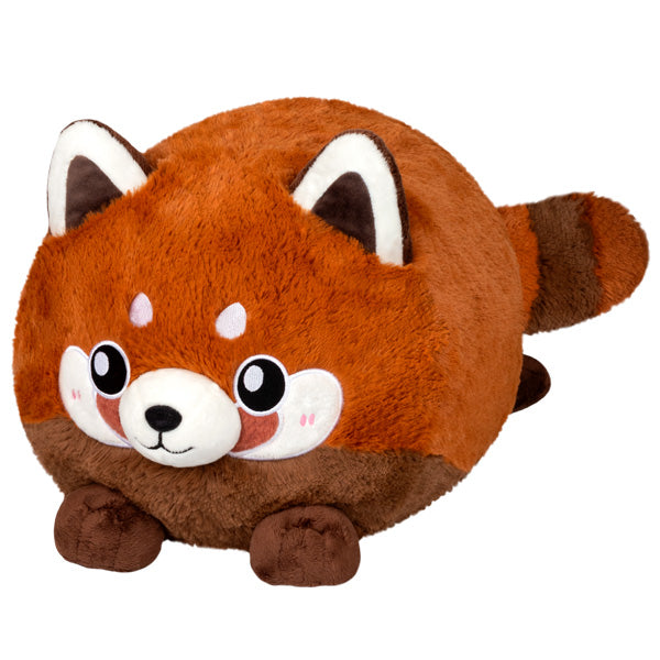 Baby Red Panda Online now