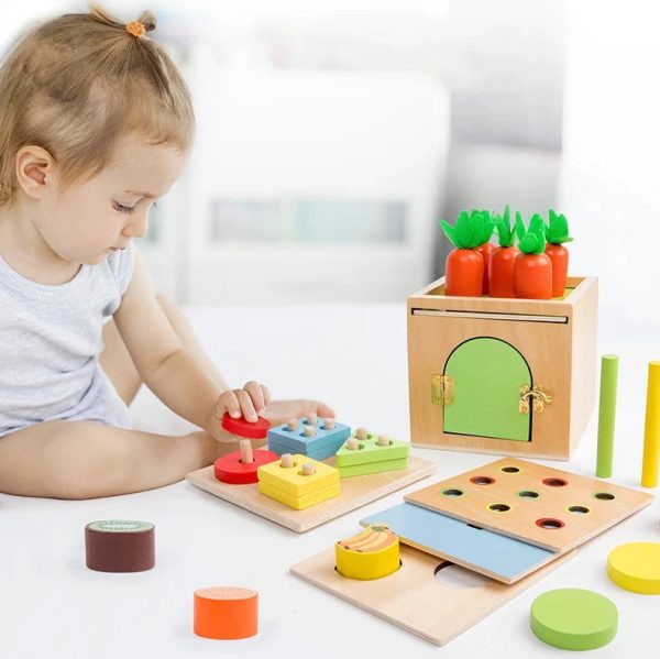 Montessori 6-in-1 Sorting Tool Online now