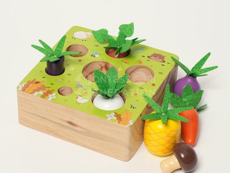 Montessori Vegetable Set Discount