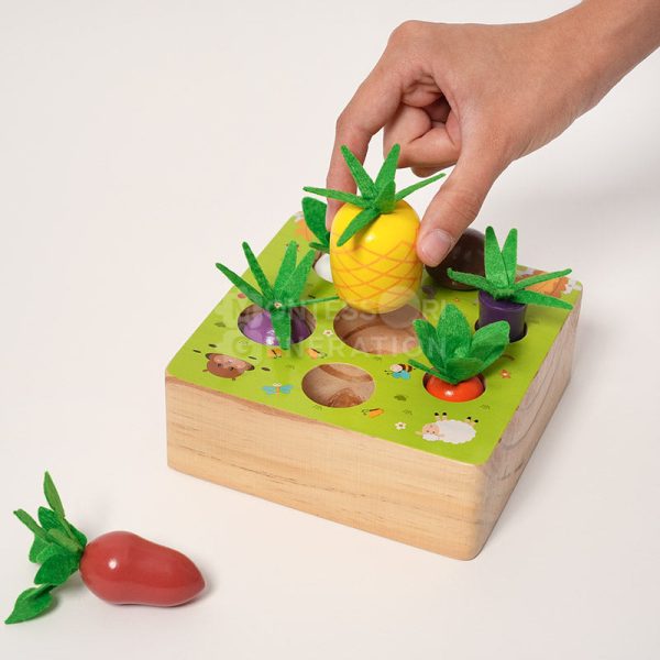 Montessori Vegetable Set Discount