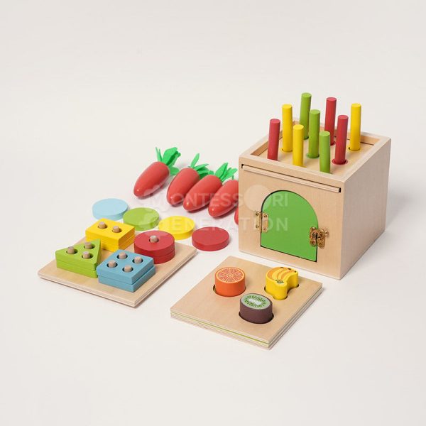 Montessori 6-in-1 Sorting Tool Online now