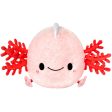 Baby Axolotl Online Hot Sale