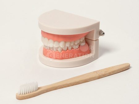 Montessori Brushing Teeth For Discount