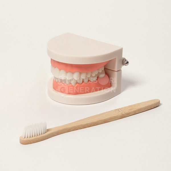 Montessori Brushing Teeth For Discount