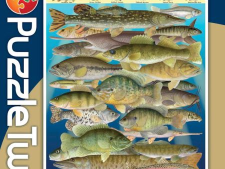 Puzzle Fish Frenzy 1000 PC Hot on Sale