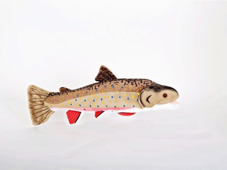 Brook Trout For Cheap